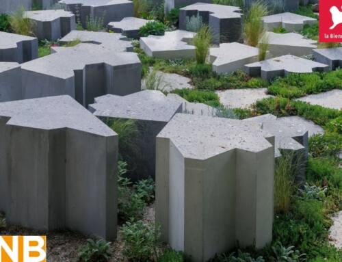 Map of Class x BNB Potsdam